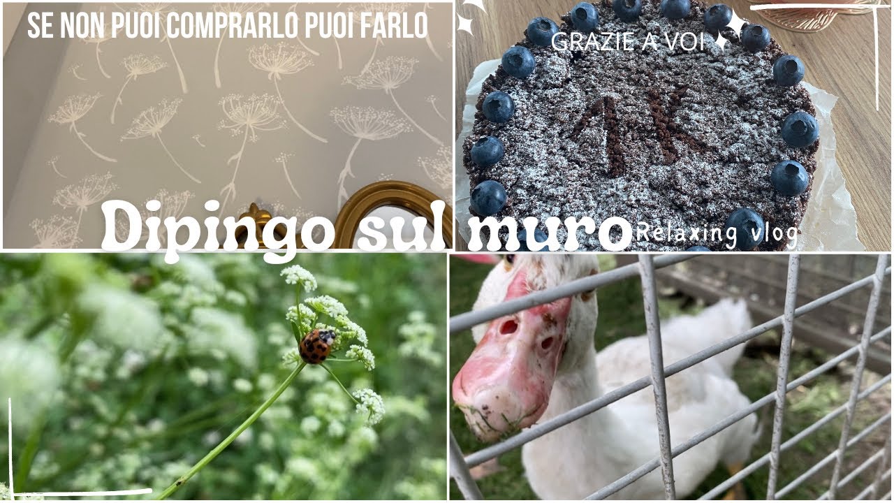 COME CARTA DA PARATI 🎨🌟 PRIMO GRANDE RACCOLTO NELL’ ORTO 🫛 1000 ISCRITTI ✨ Relaxing vlog