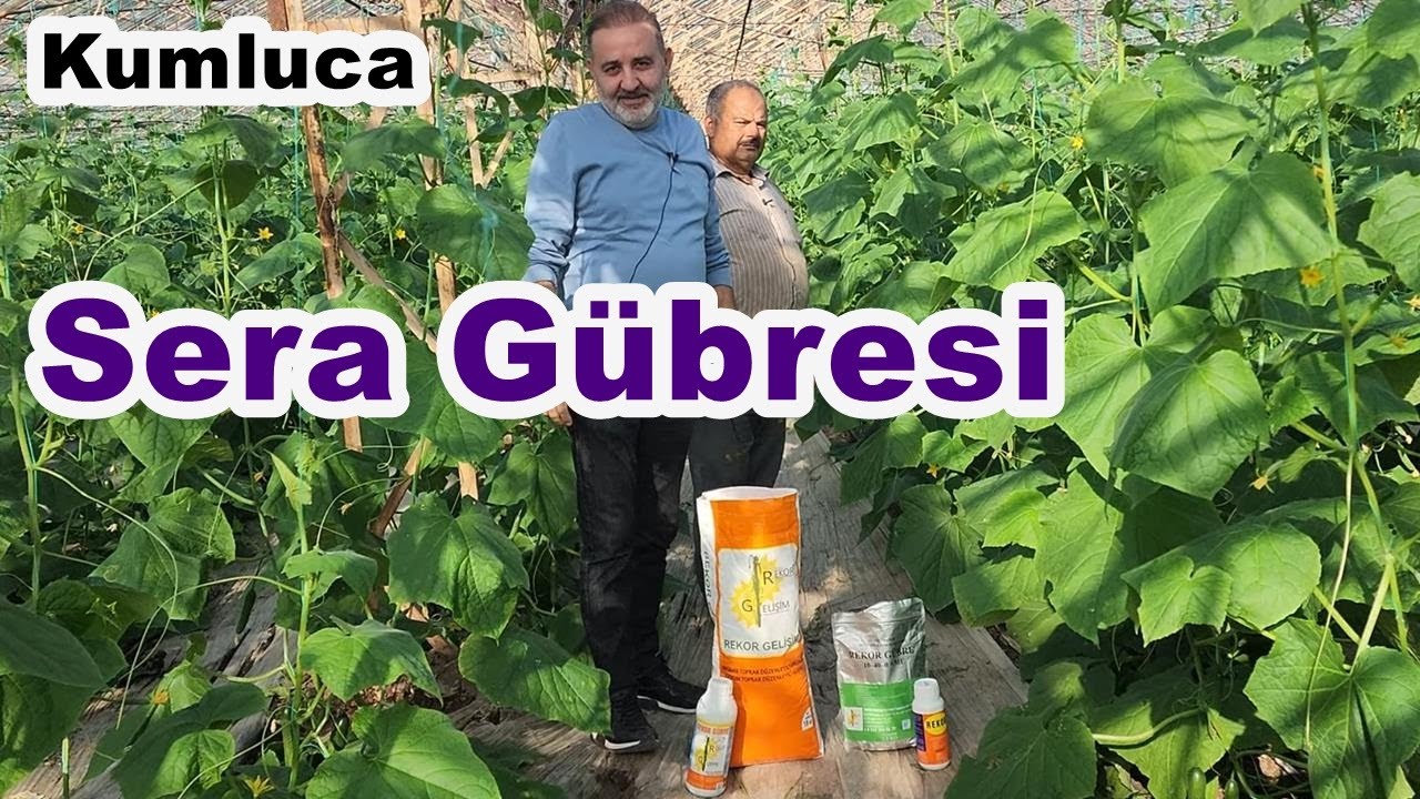 Sera Gübresi - Sera Gübreleri
