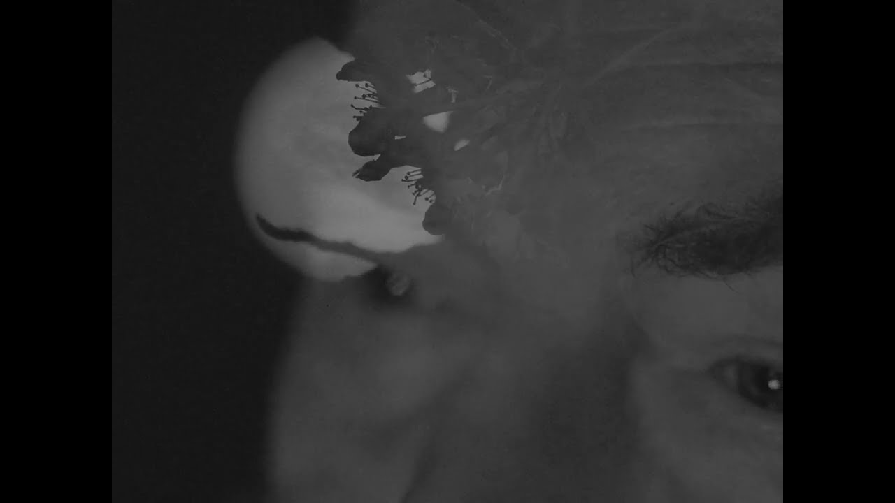 Mark Fry - 'Daybreak'