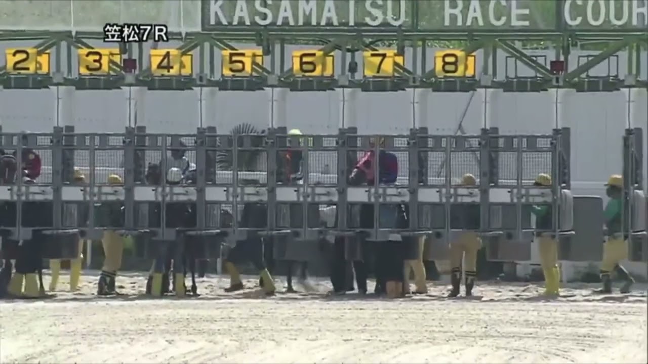 一向にゲートに入らず競走除外