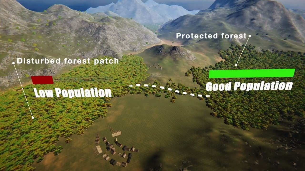 Understanding Wildlife Corridors