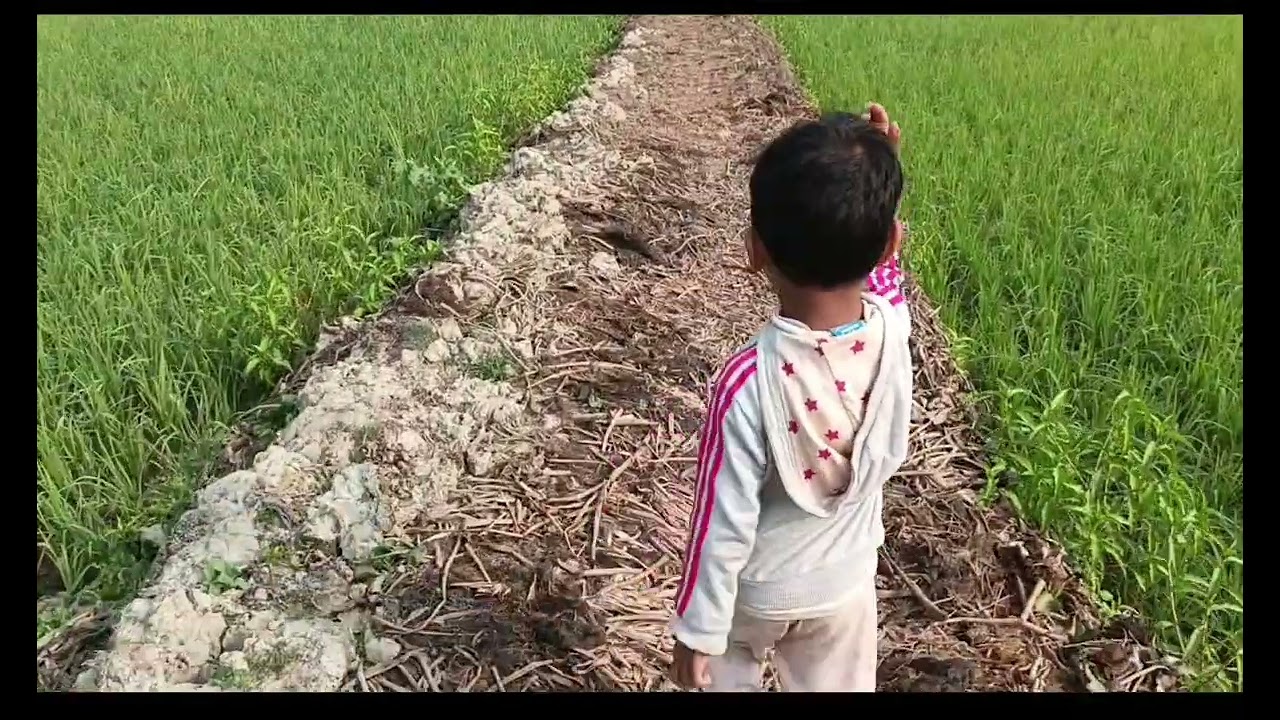 আব্বু পাগল ছেলেটা কখন যে বড় হবে। 