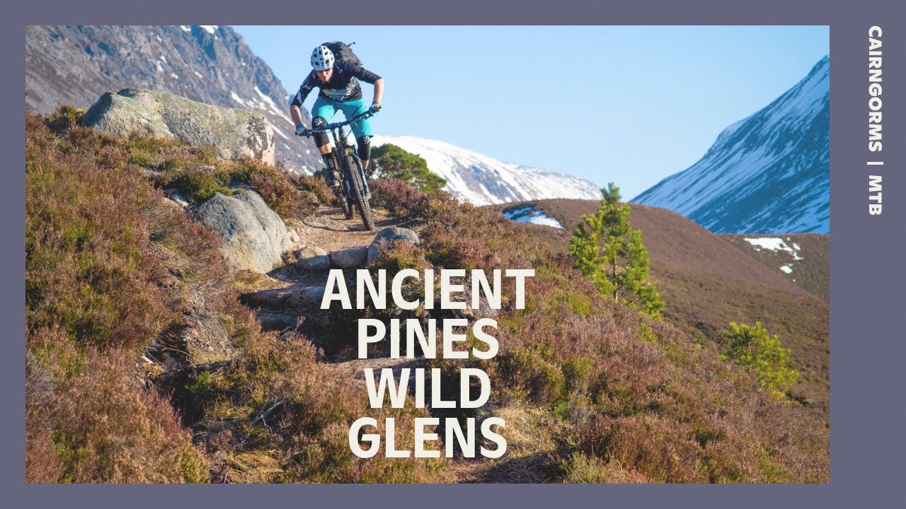 MTB Tour | Ancient Pines Wild Glens | Cairngorms Scotland