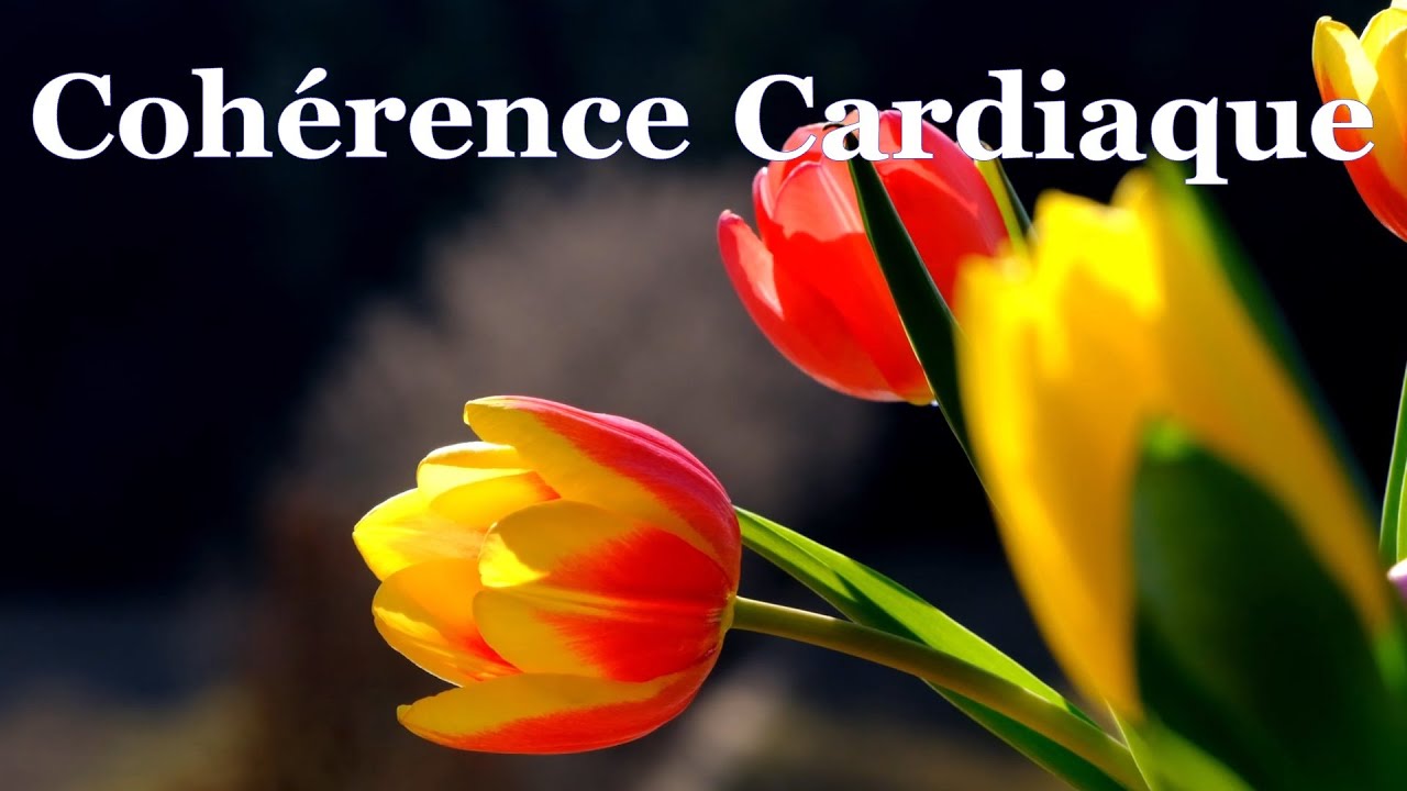 coherence cardiaque exercices 88 Bis
