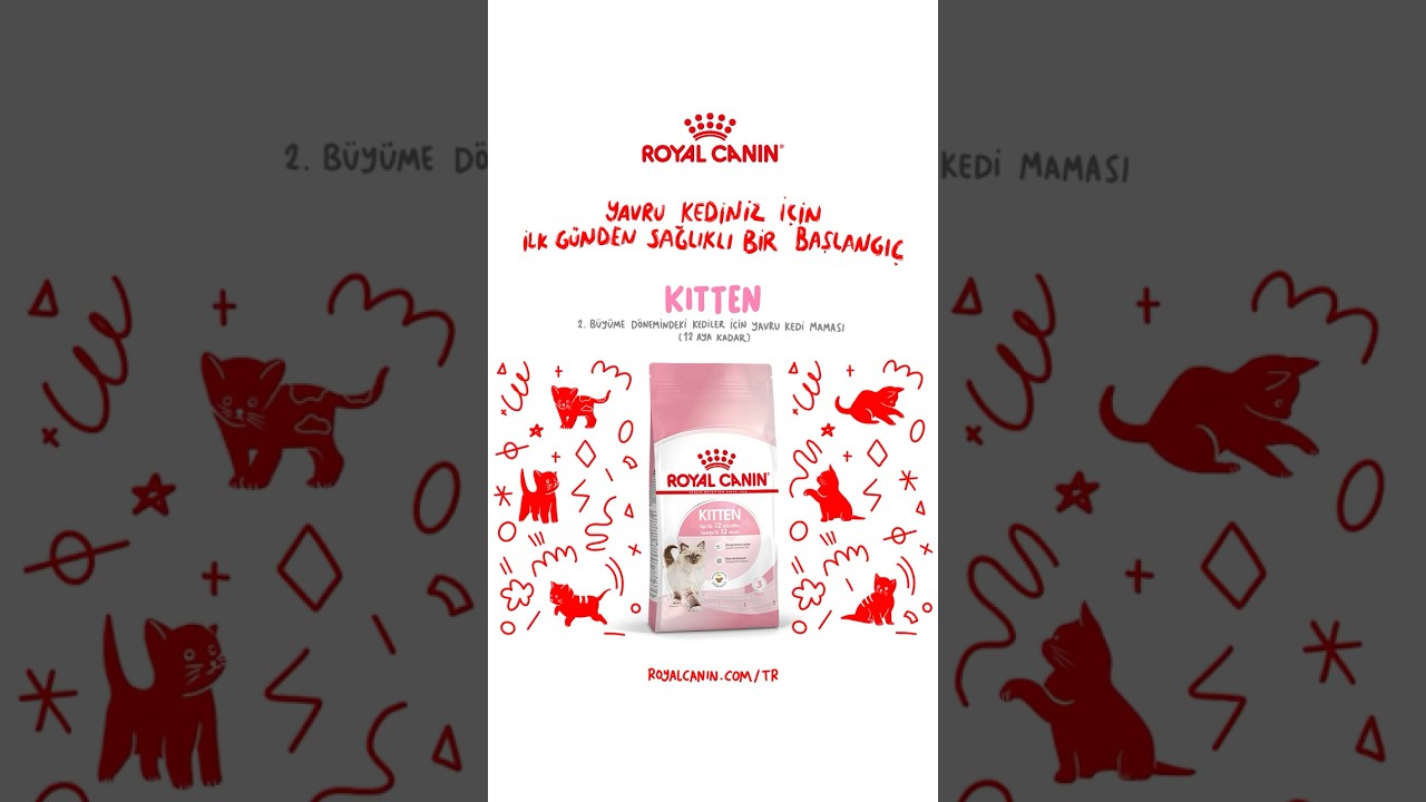 ROYAL CANIN&reg; Kitten ile Yavru Kedinizin Sağlıklı B&uuml;y&uuml;me Yolculuğu #shorts