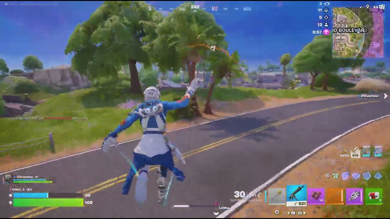 Fortnite Victory With The Bro !!!