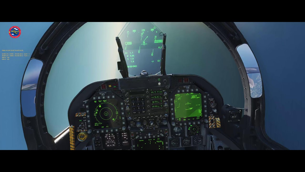 HORNET EM AÇÃO.