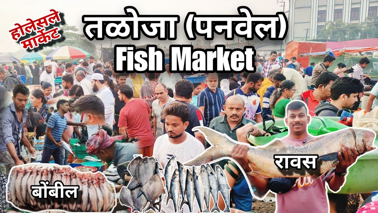 तळोजा मध्ये सकाळी भरणारा होलेसले फिश मार्केट | Taloja Fish Market Latest |Taloja-Panvel #fishmarket