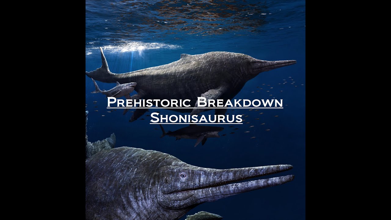 Prehistoric Breakdown: Shonisaurus