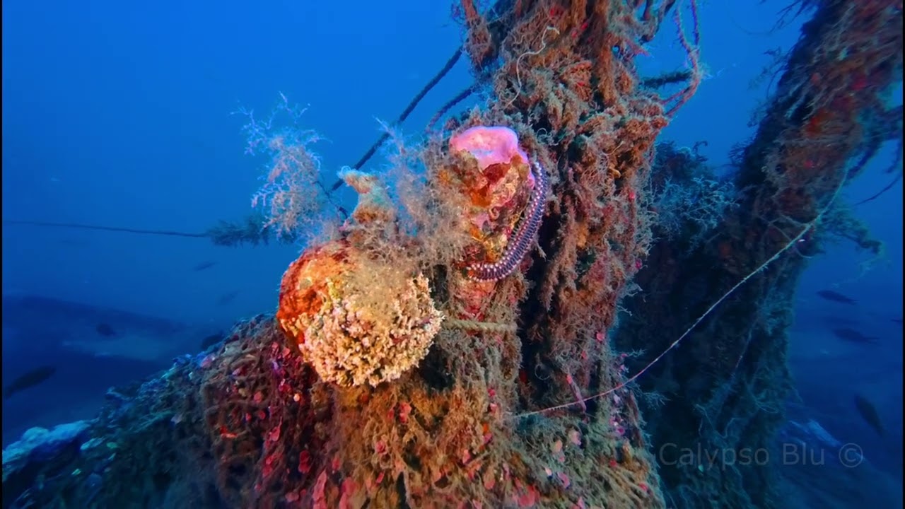 PIROSCAFO SIRACUSA