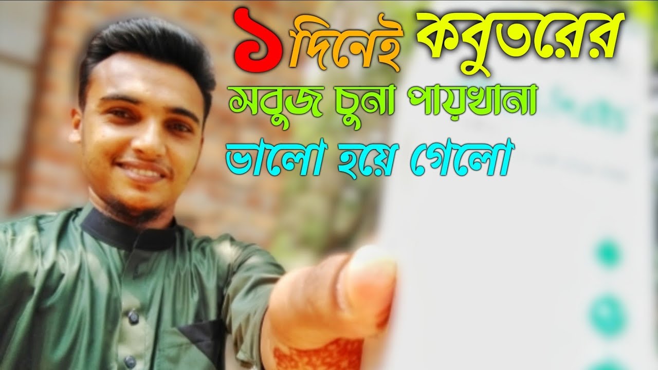 কবুতরের সবুজ ও চুনা পায়খানার কি ঔষধ খাওয়াবেন | Bd pets & tech | Kobutore shobuj chuna paykhana oshud