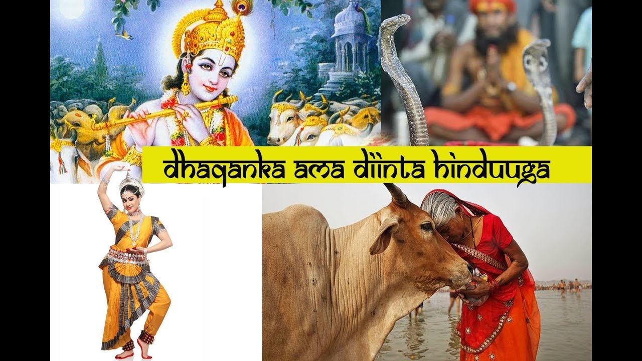 DHAQANKA AMA DIINTA DADKA HINDUUGA AH, ( FULL PROGRAM)