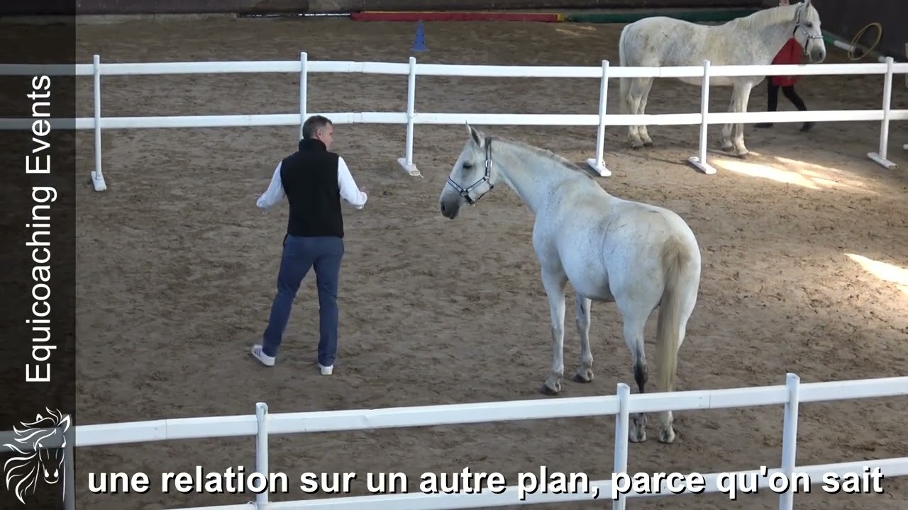 Equicoaching avis de Laurent, Directeur G&eacute;n&eacute;ral des Ressources Humaines, son t&eacute;moignage equicoaching