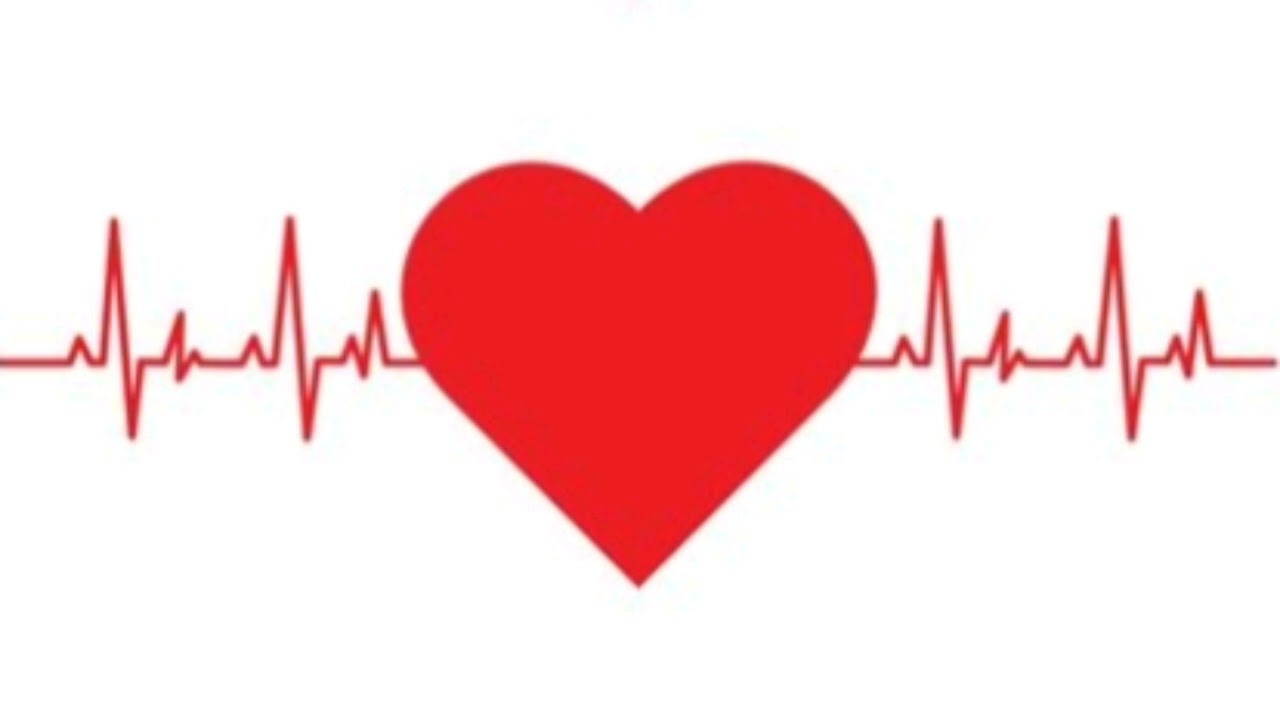 34 Year Old Male Heart Beat Recording. Star Jumps. Max BPM to Resting Rate.