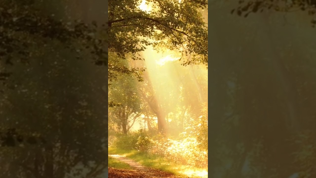 Beautiful Relaxing Hymns, Peaceful Instrumental Music, 