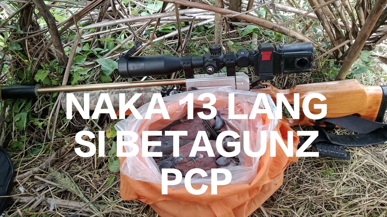 PESTCONTROL HUNTING USING BETAGUNZ PCP w/PARENG EMARS #boyet39mixvlog #pcp #hunting #pestcontrol 
