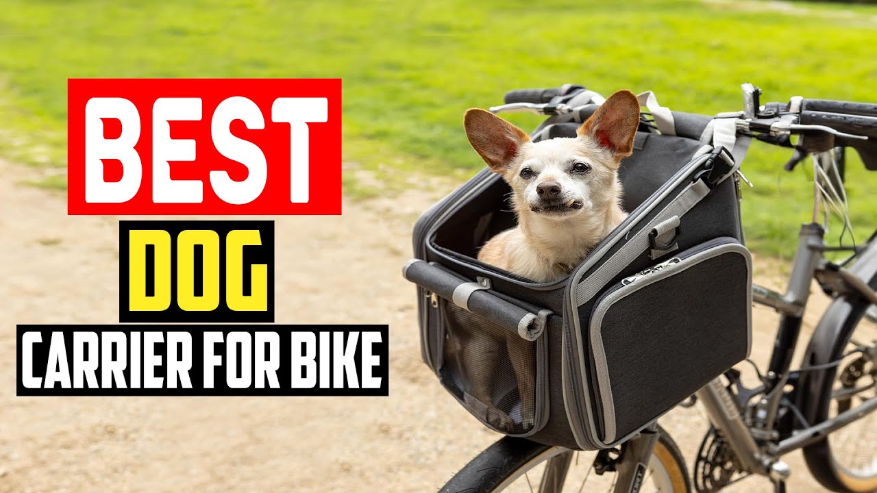 ✅Top 5 Best Dog Carrier For Bike in 2025