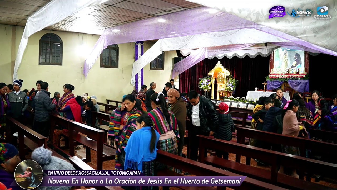 En Vivo