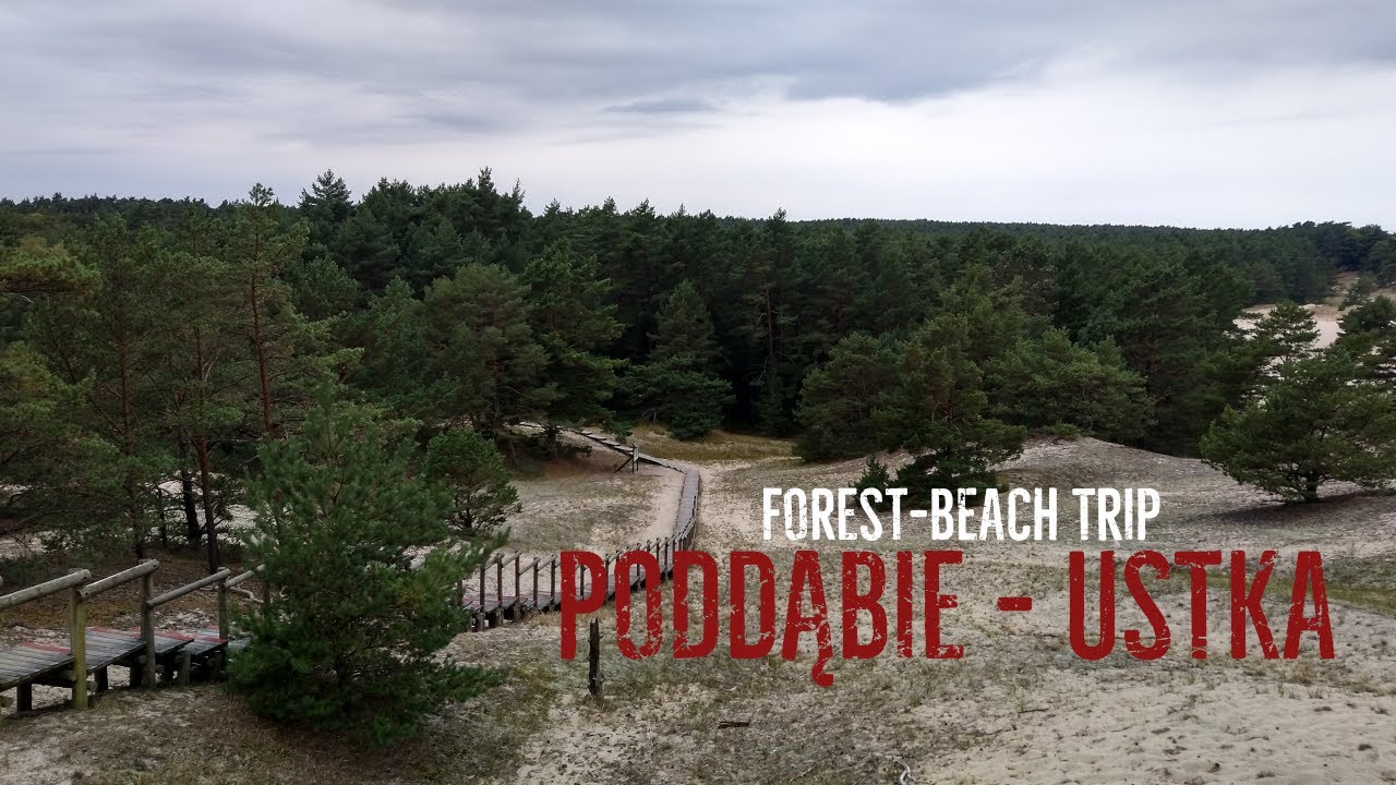 Forest-beach trip: Poddąbie - Ustka 👣 Wydma Orzechowska