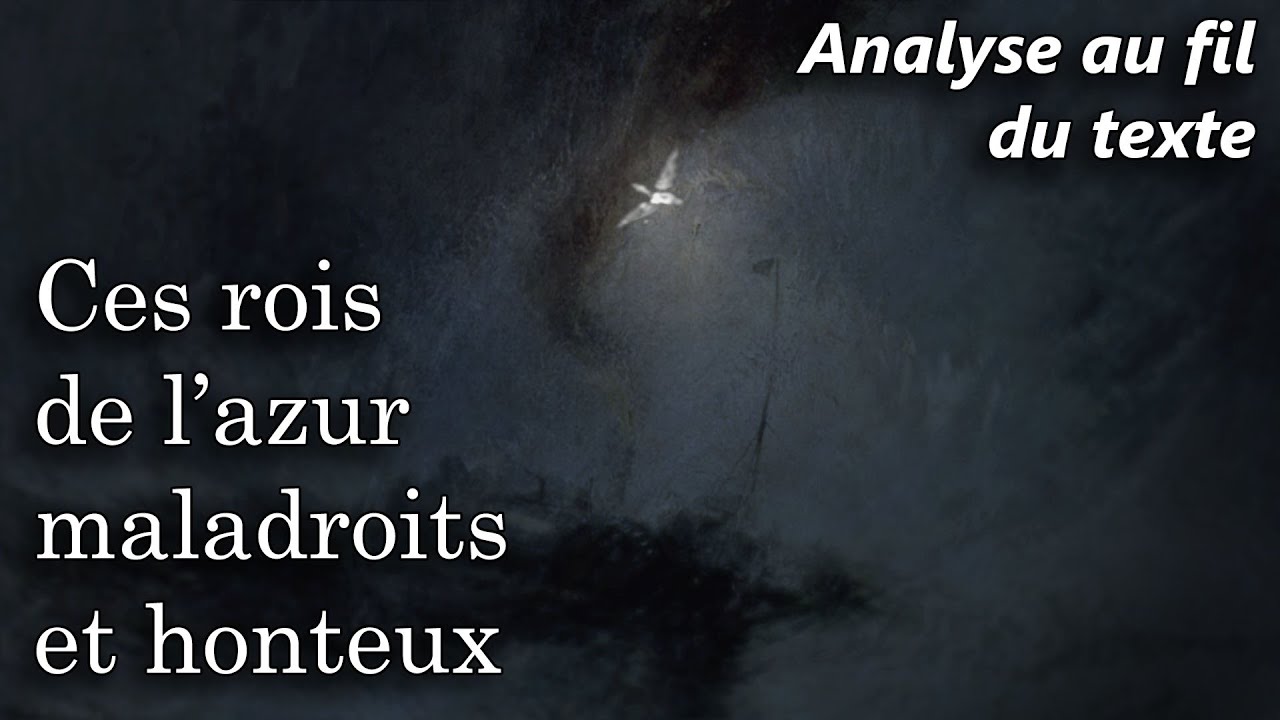 BAUDELAIRE 🔎 Les Fleurs du Mal - L'Albatros (Analyse au fil du texte du poème)