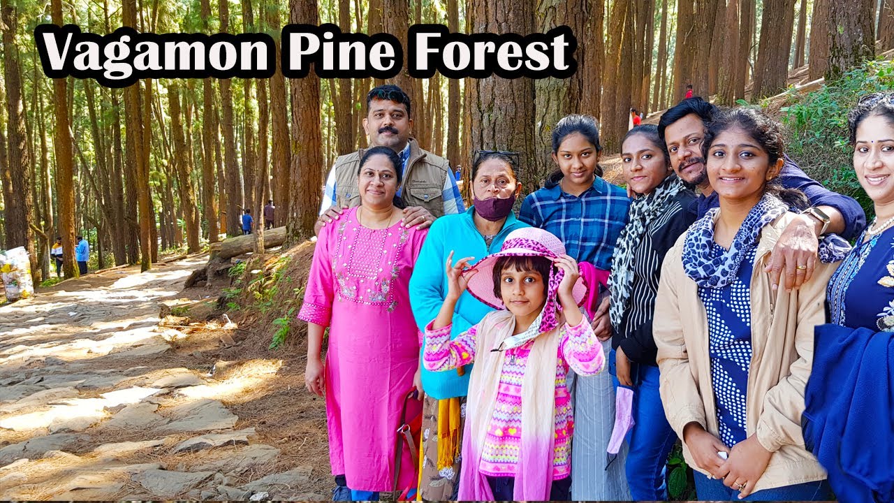 Vagamon Pine Forest | Vagamon Places To Visit | Pine Valley Vagamon  | Kerala Tourism