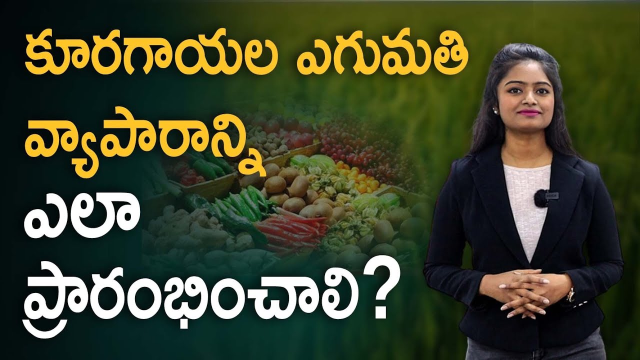 How to Start a Vegetable Export Business? | Export Business Details In Telugu | Ambika