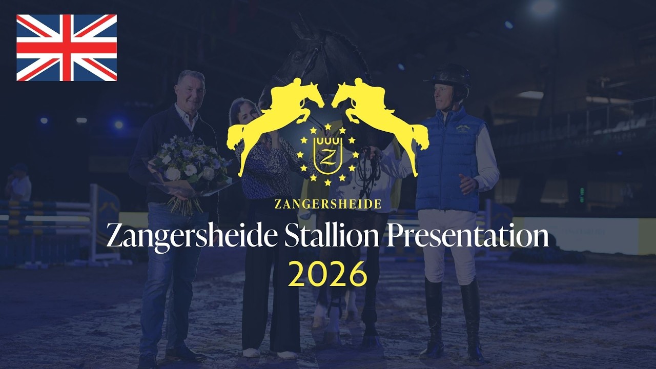 Zangersheide Stallion Presentation 2026 - English Commentary