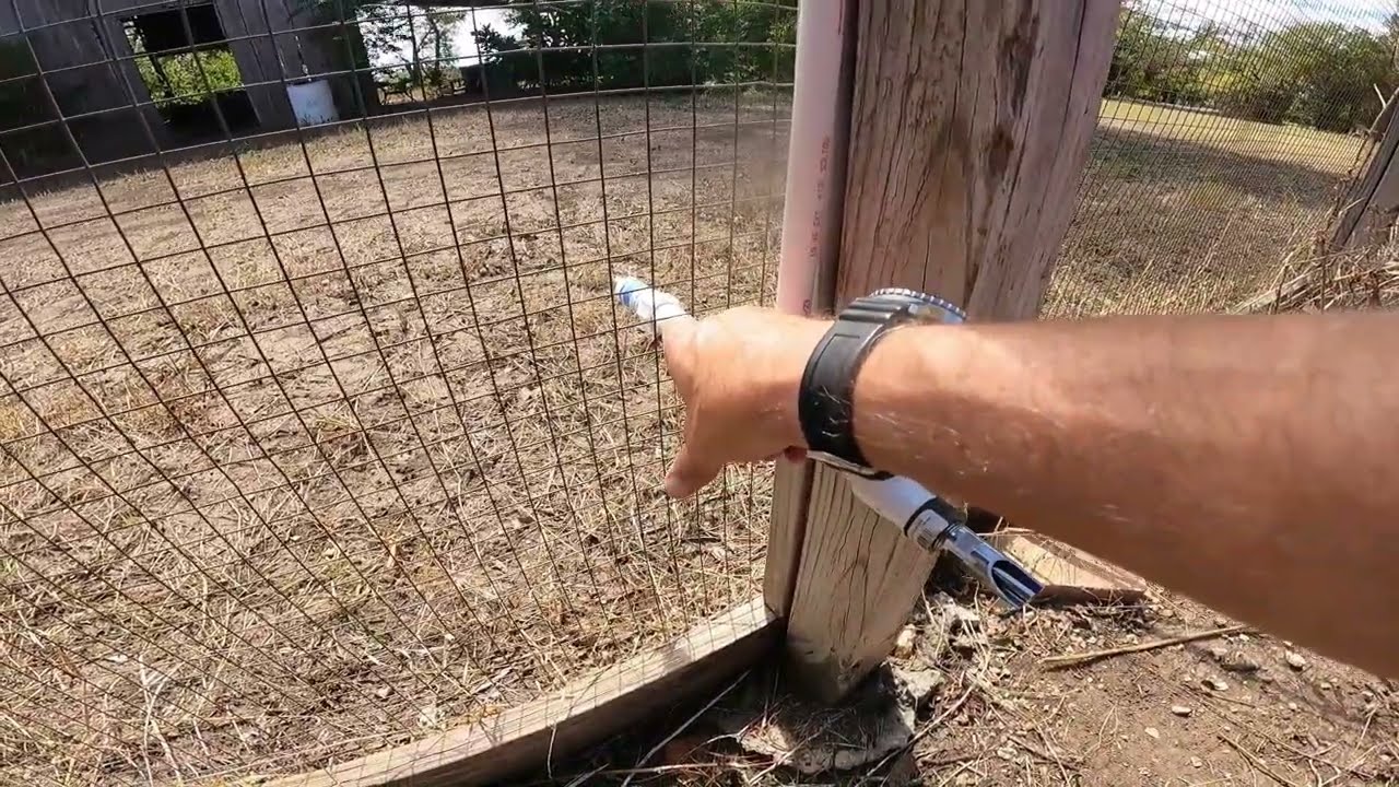 Using Freeze Miser with a Hog Waterer