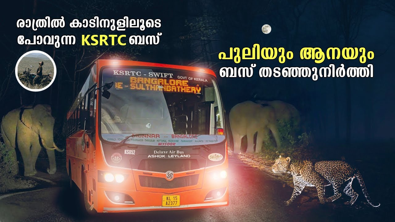 പുലിയും ആനയും  ബസ് തടഞ്ഞുനിർത്തി | Muthanga Bandipur Mudumalai Forest Ksrtc Night Bus | free20