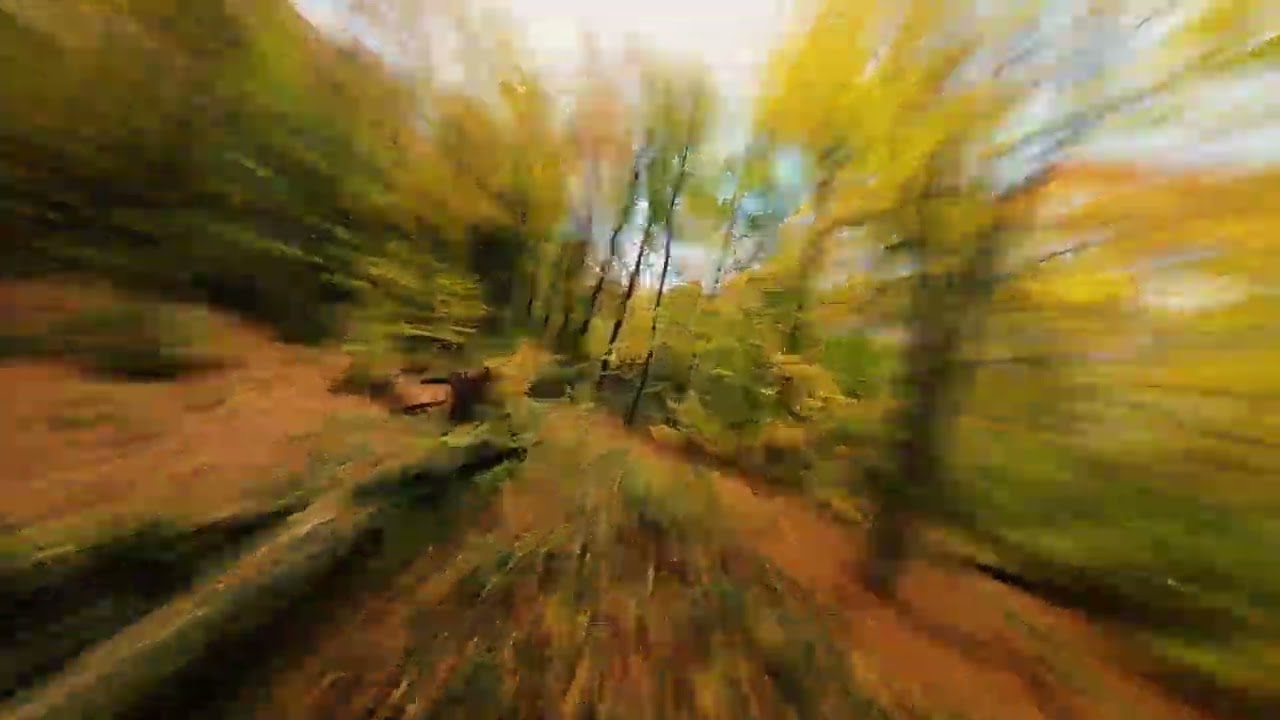- DJI AVATA FPV  - Herbst Querbeet - überarbeitet 2026