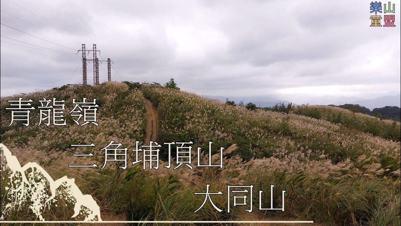 [新北樹林] 青龍嶺-三角埔頂山-大同山 / Qinglongling,Sanjiaopuding Mountain,Datong Mountain