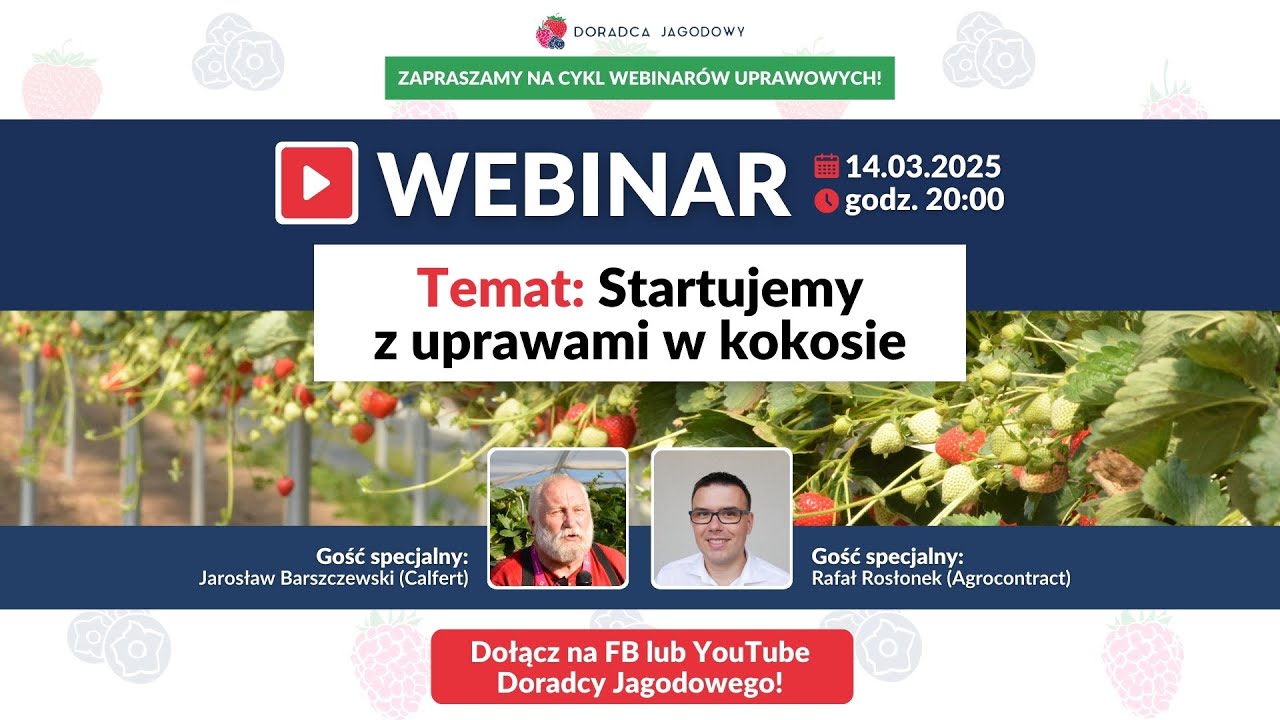 Startujemy z uprawą truskawek w kokosie, zakładanie plantacji i cyfrowe rozwiązania w praktyce.
