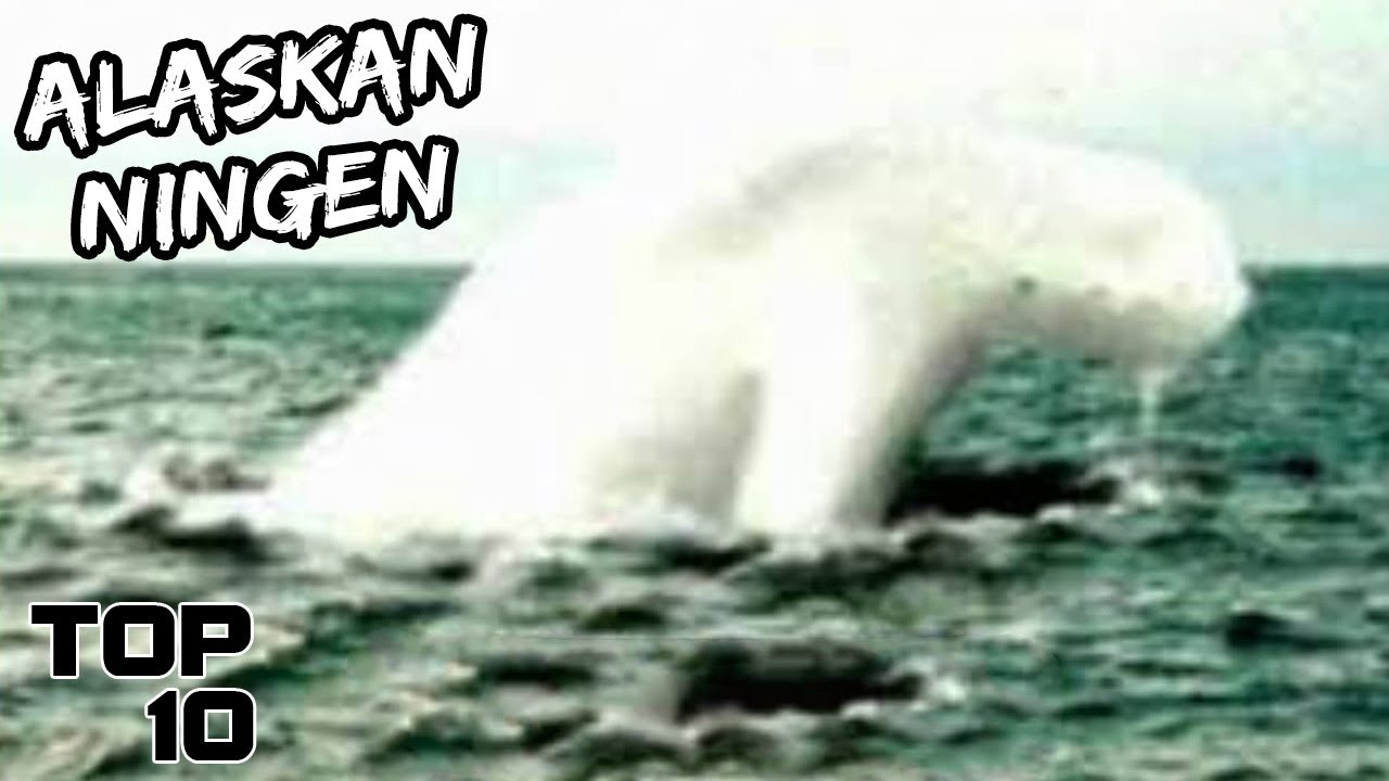 Top 10 Weirdest Things Discovered In Alaska