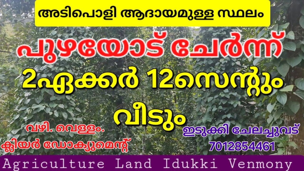 .അടിപൊളി ആദായമുള്ള 2ഏക്കർ 12സെന്റും വീടും. പുഴയോട് ചേർന്ന്. ഇടുക്കി ചേലച്ചുവട് 7012854461