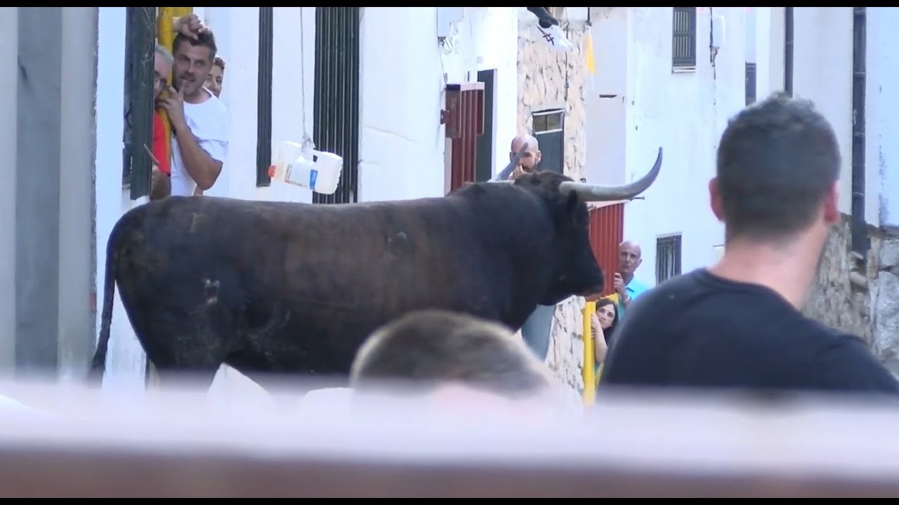 Illana ha celebrado un encierro por las calles con mucho sabor