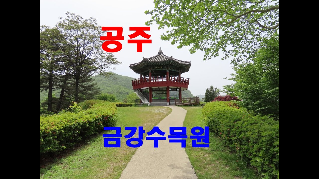 1414탄 (250508)   충남 공주  금강수목원 열대온실  산림박물관  창연정  연못정원   황토메타   구름다리