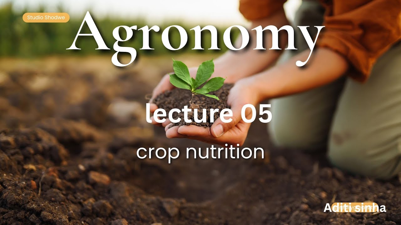 crop nutrition | lecture 05 | fundamentals of agronomy