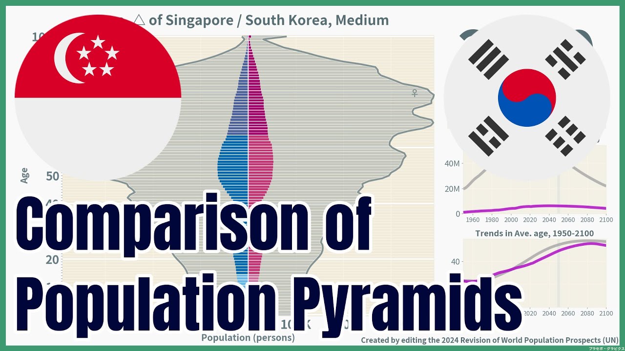 [🇸🇬Singapore vs 🇰🇷South Korea] Comparison of Population Pyramids (1950-2100), 4 scenarios, #wpp2024
