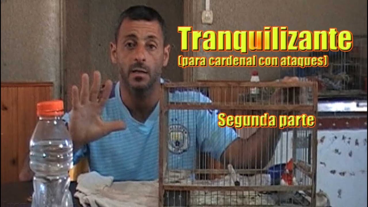Tranquilizante para cardenal con ataques parte 2