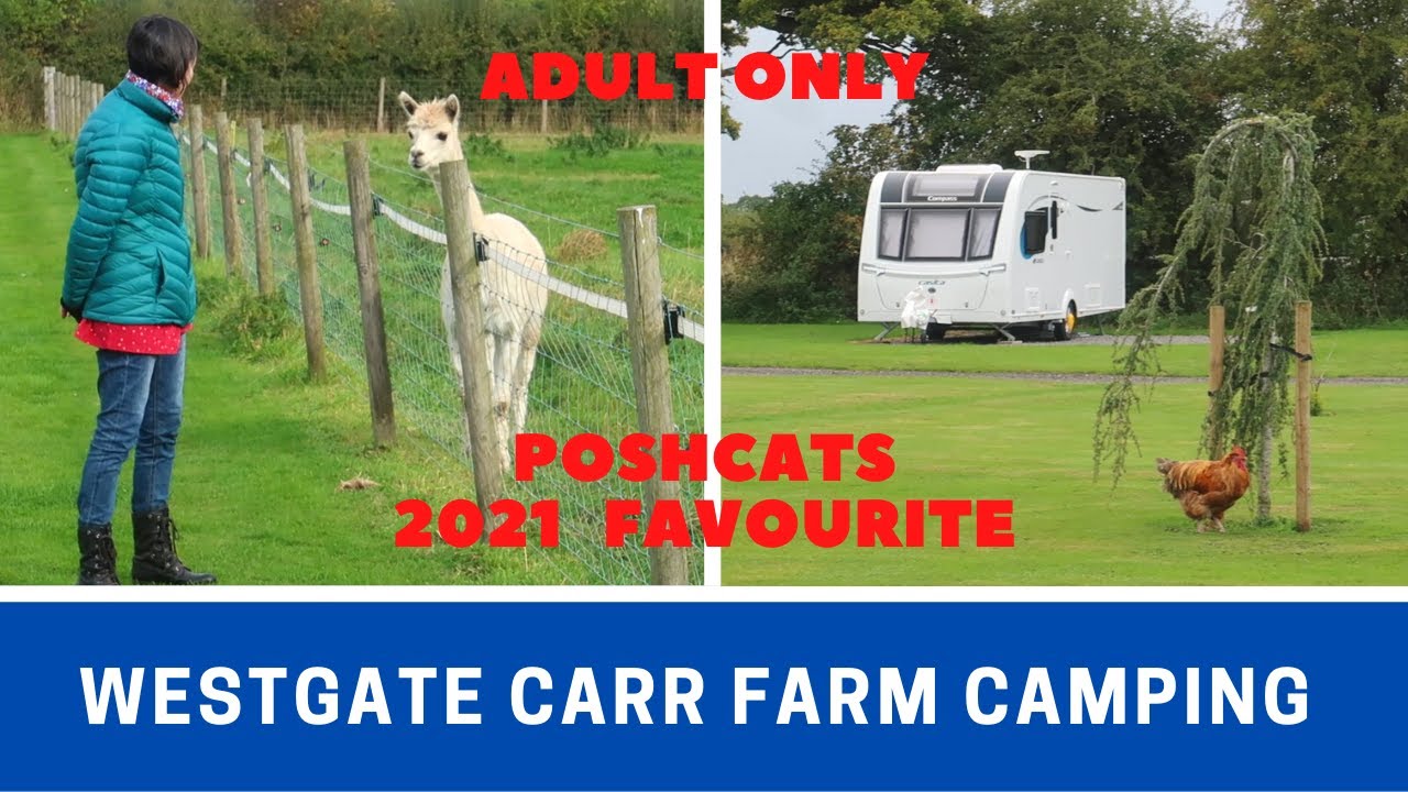 We Loved WESTGATE CARR FARM Camping and Caravan Park | Pickering Vale North Yorkshire | Vlog 428