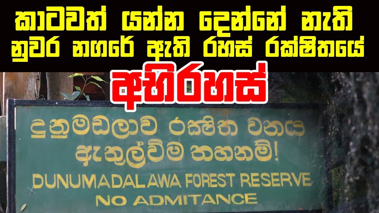 කාටවත් යන්න දෙන්නේ නැති නුවර නගරේ ඇති රහස් රක්ෂිතයේ අභිරහස් තැනකට ගිය ගමන | Dunumadalawa Forest