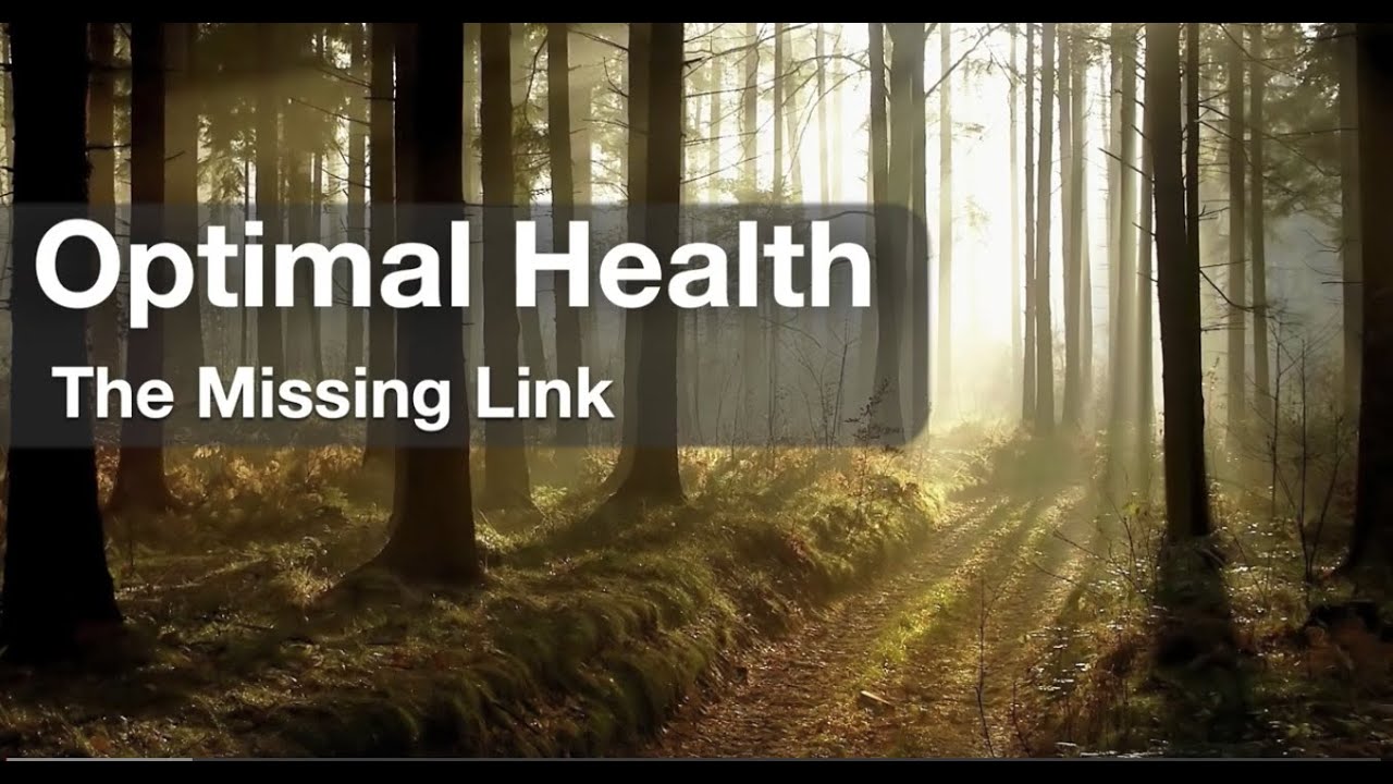 The Missing Link to Optimal Health