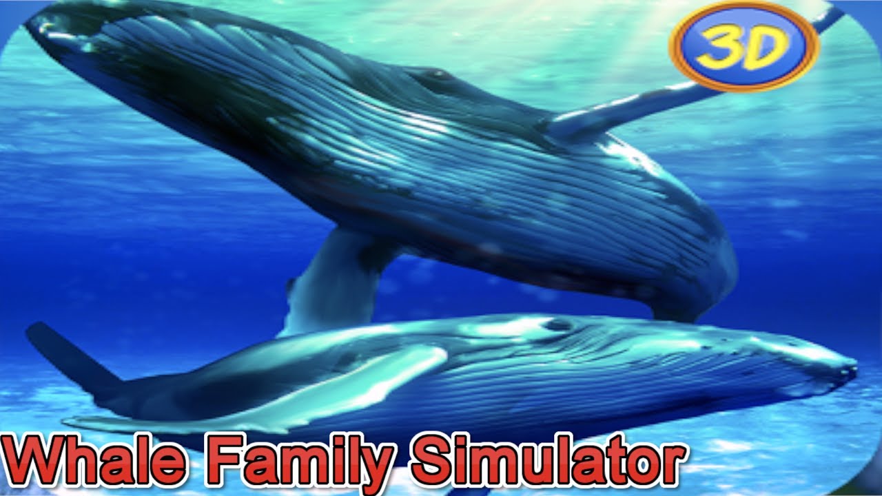 🐋👍Whale Family Simulator-Симулятор Cемьи Kитов