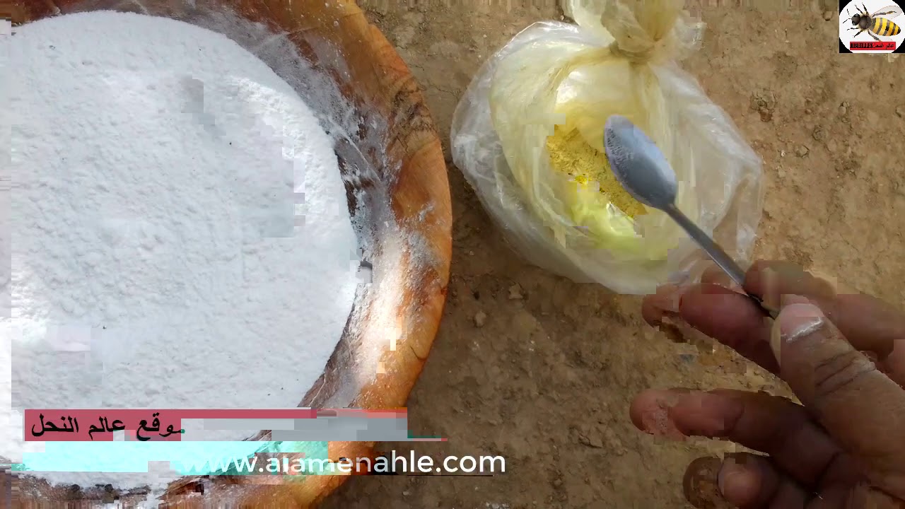 بداية علاج خلايا النحل المتضررة من امراض النحل تكيس الحضنة/تحجر الحضنة