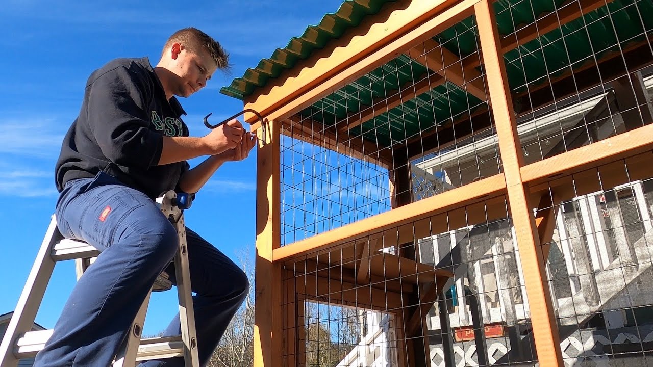 Cedar Catio Build