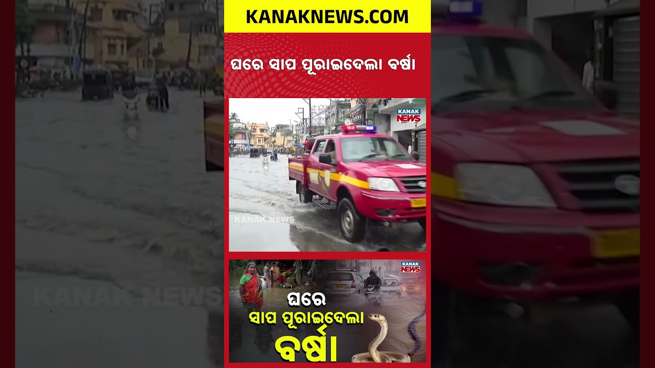 Heavy Rain Wreaks Havoc Across Odisha | Flooded Homes, Waterlogged Roads&Snake Scare