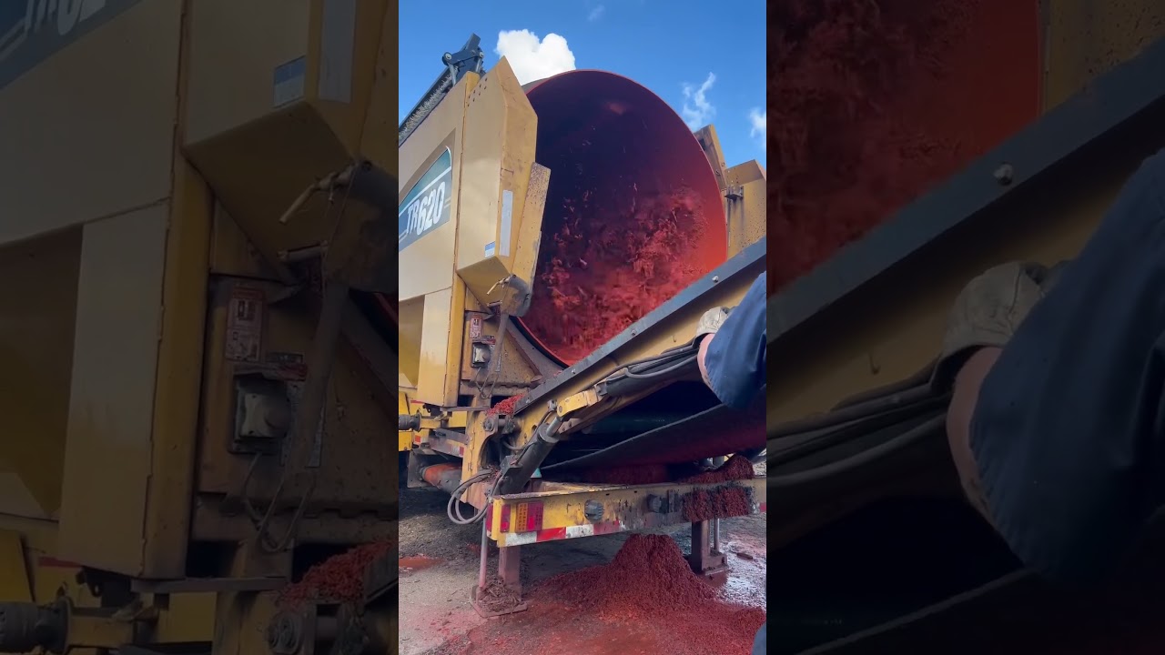 Making red colored mulch with the Vemeer trommel. #vermeer #mulch #mulchyard #work