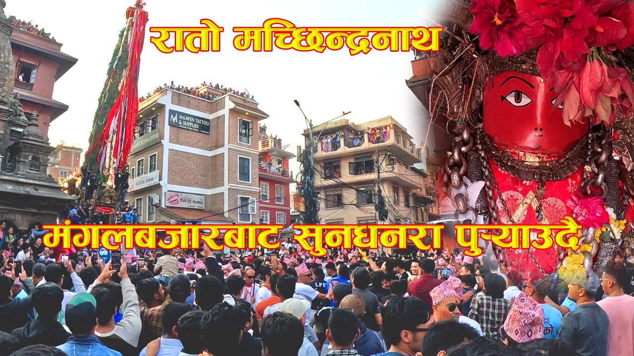 Rato Machhindranath Jatra | मंगलबजार बाट सुनधारा पुर्‍याउदै | Mangalbazar to sundhara