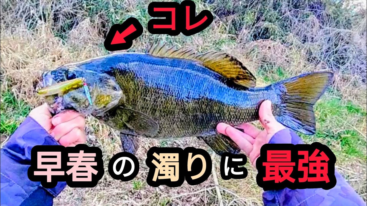 【川スモール】このルアー、春の濁った日に最強です【バス釣り】