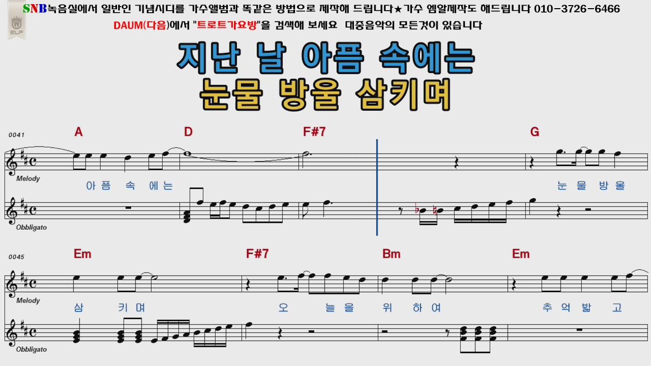 진성 동전인생